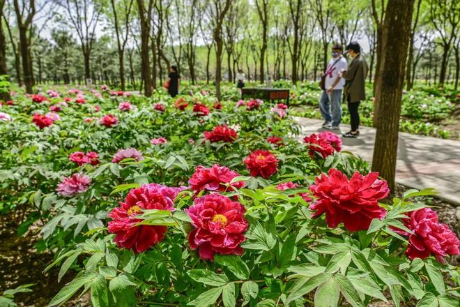 -2：三大+书市+特色小镇打卡文旅新地标AG旗舰厅ios版120小时玩转副中心(图6)